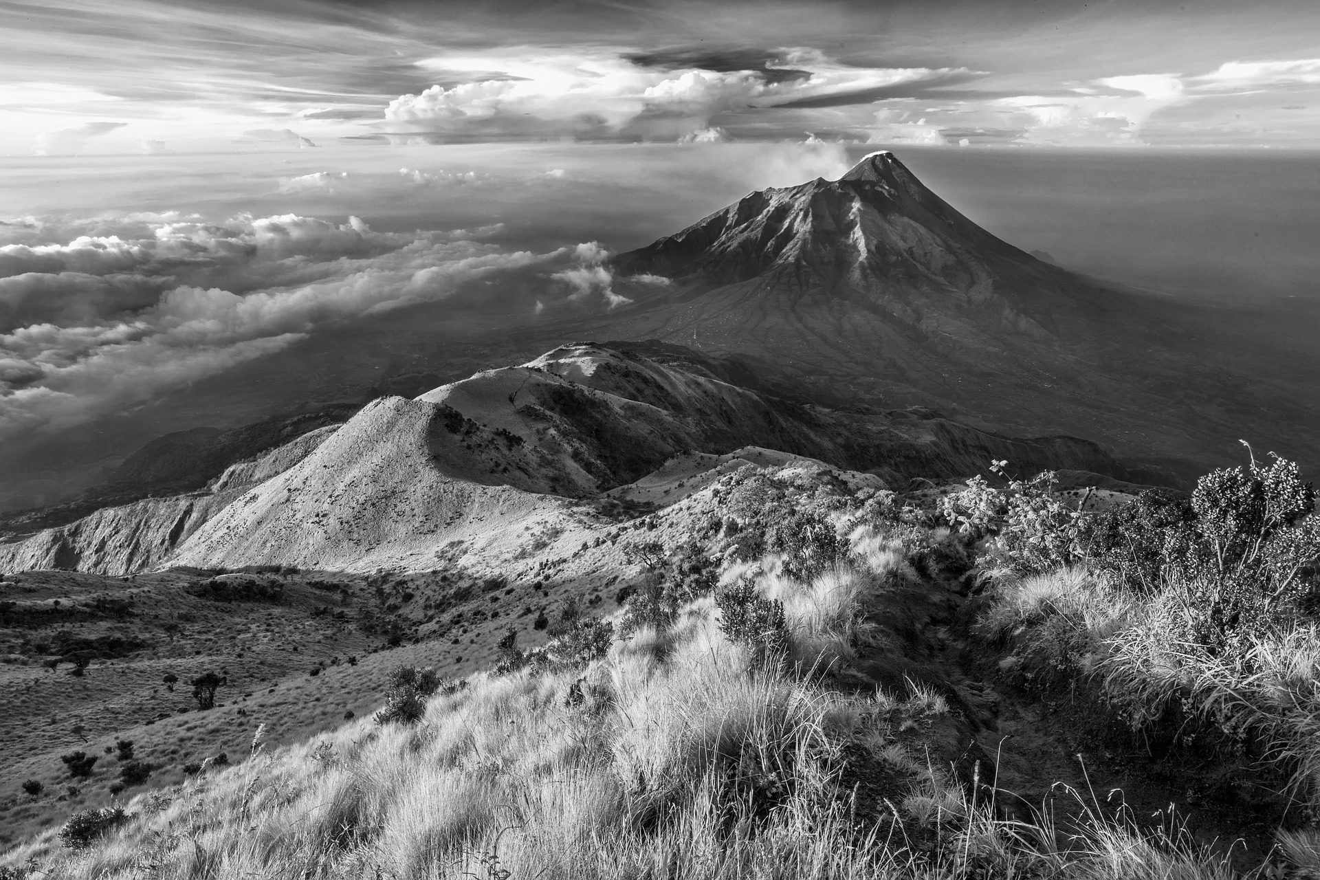 cropped-cropped-cropped-landscape-2124022_1920.jpg
