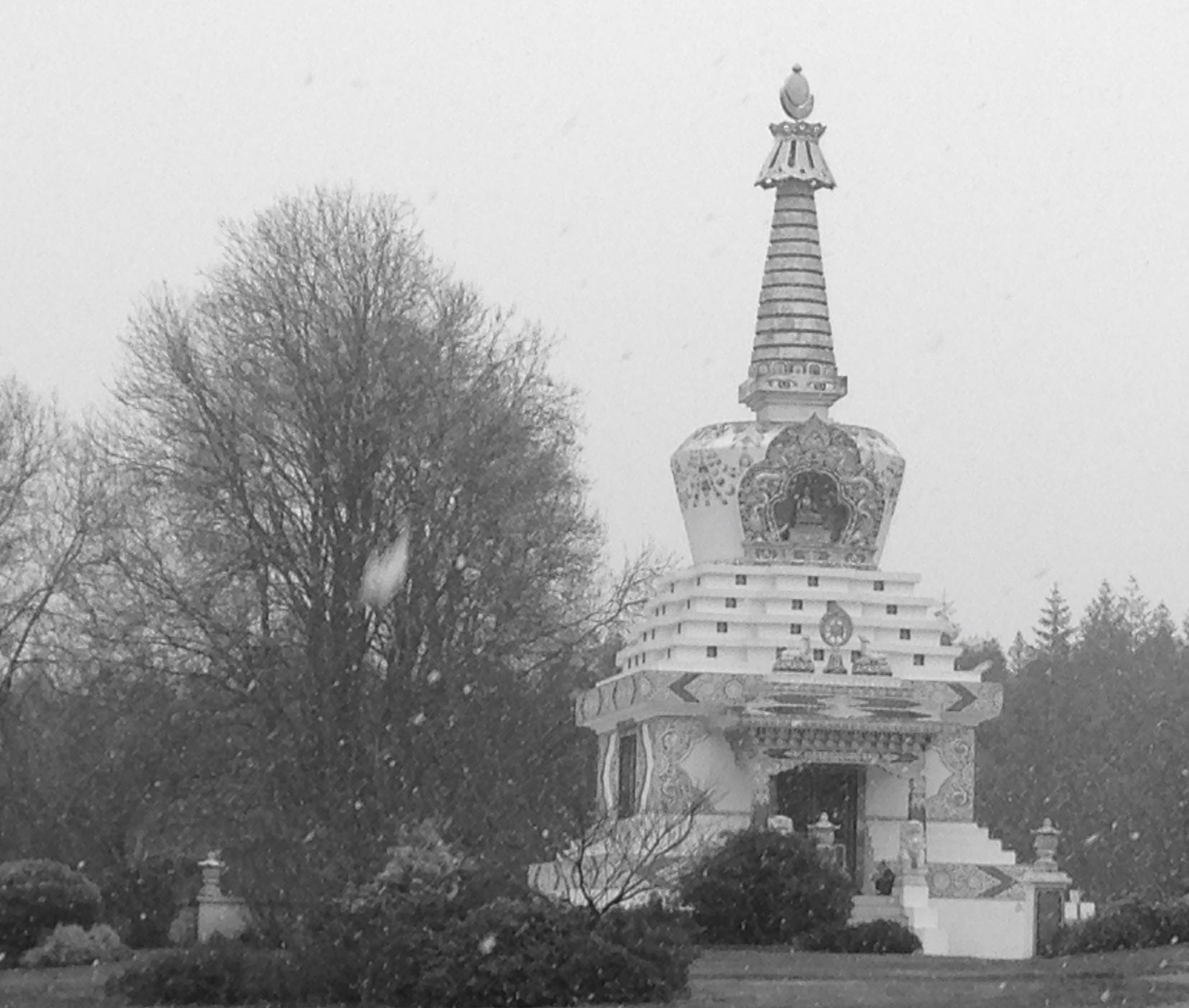 cropped-cropped-cropped-IMG_0026-scaled-1-1.jpeg