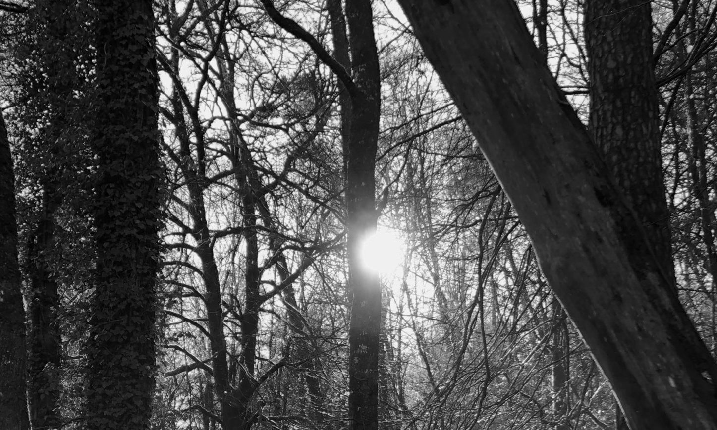 cropped-cropped-cropped-IMG_0097-scaled-1-2.jpeg