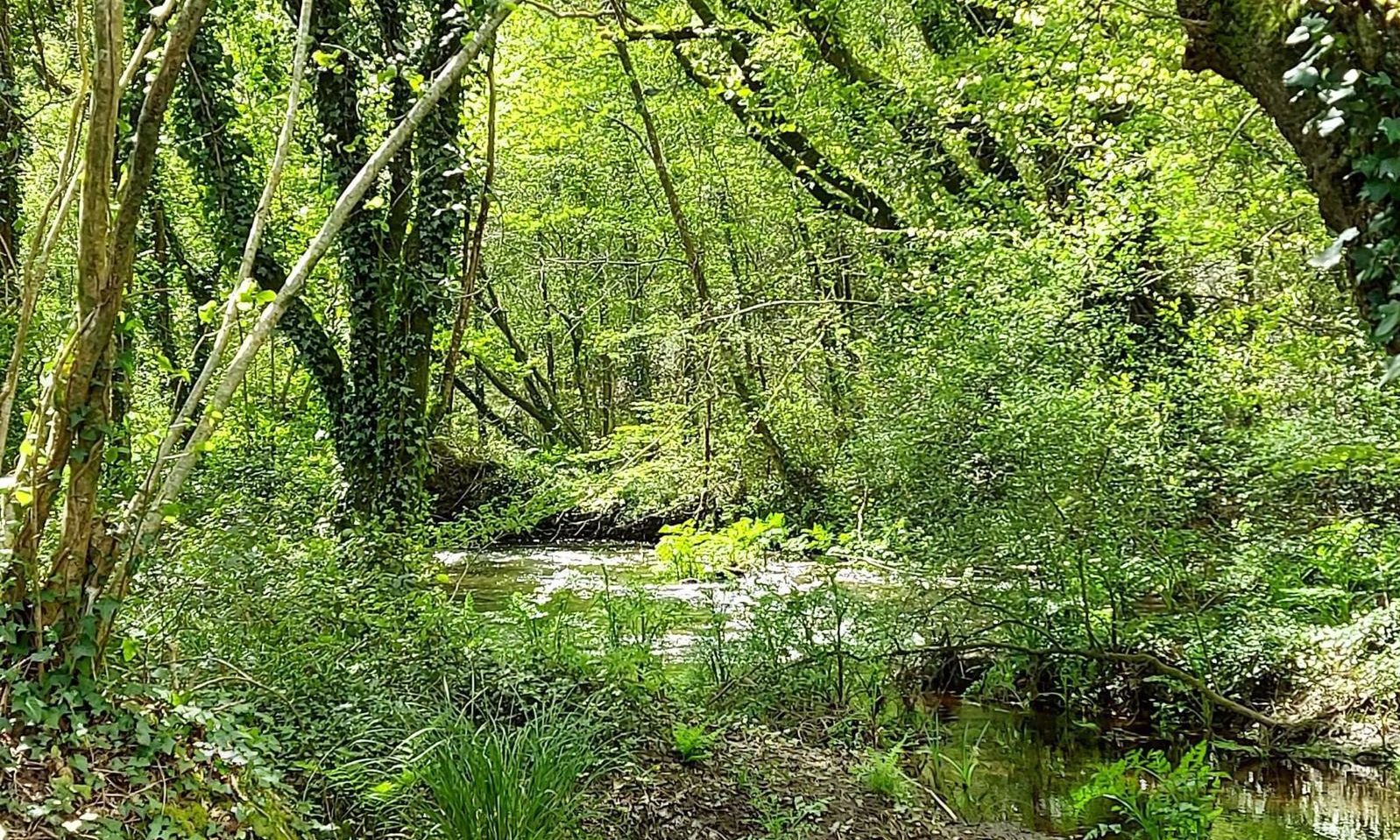 séjour ressourcement au Moulin des hirondelles